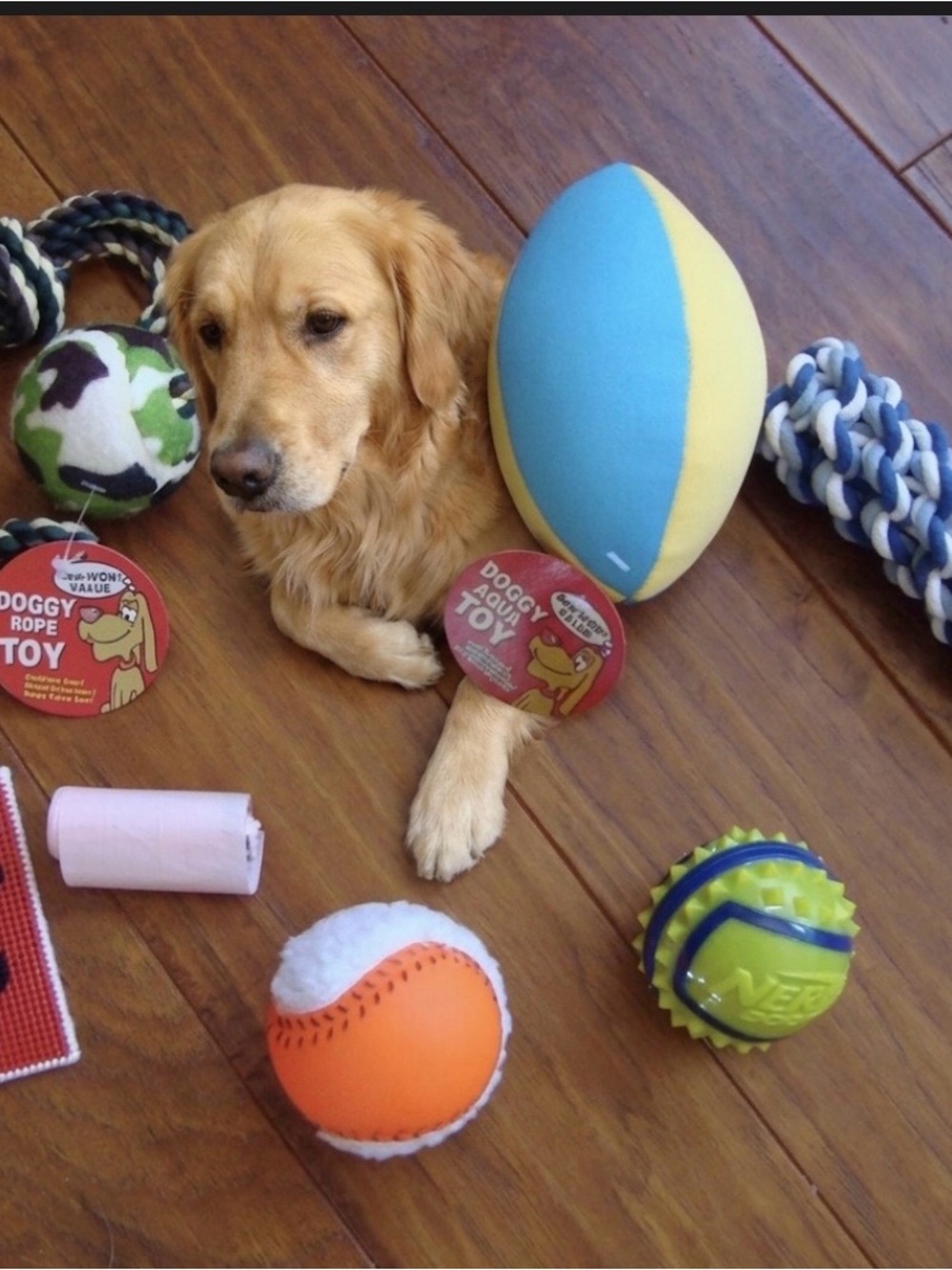 New Dog Toys Rope Football Balls Doggie Poop Bags Lot of 6